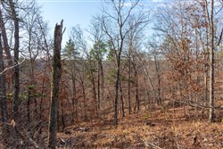 property photo for Cypress Ridge Tract 40, 4.92 acres for sale in Reynolds County, Missouri