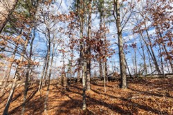 property photo for Cypress Ridge Tract 40, 4.92 acres for sale in Reynolds County, Missouri