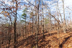 property photo for Cypress Ridge Tract 40, 4.92 acres for sale in Reynolds County, Missouri