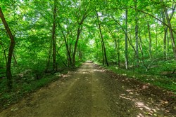 property photo for Cypress Ridge Tract 6, 5.55 acres for sale in Reynolds County, Missouri