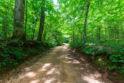 property photo for Cypress Ridge Tract 6, 5.55 acres for sale in Reynolds County, Missouri