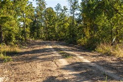 property photo for Fox Hollow Tract 11, 5.41 acres for sale in Reynolds County, Missouri