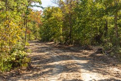 property photo for Fox Hollow Tract 5, 5.44 acres for sale in Reynolds County, Missouri