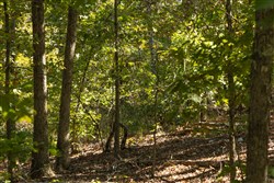 property photo for Fox Hollow Tract 5, 5.44 acres for sale in Reynolds County, Missouri