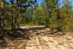 property photo for Fox Hollow Tract 5, 5.44 acres for sale in Reynolds County, Missouri