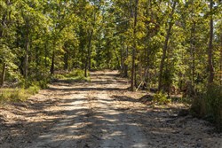 property photo for Fox Hollow Tract 6, 6.78 acres for sale in Reynolds County, Missouri