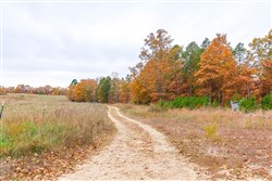 property photo for Hawkcrest Tract 16, 6.65 acres for sale in Reynolds County, Missouri