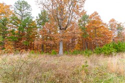 property photo for Hawkcrest Tract 16, 6.65 acres for sale in Reynolds County, Missouri