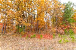 property photo for Hawkcrest Tract 16, 6.65 acres for sale in Reynolds County, Missouri