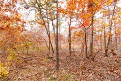 property photo for Hawkcrest Tract 16, 6.65 acres for sale in Reynolds County, Missouri