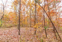 property photo for Hawkcrest Tract 16, 6.65 acres for sale in Reynolds County, Missouri