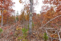 property photo for Hawkcrest Tract 19, 5.87 acres for sale in Reynolds County, Missouri