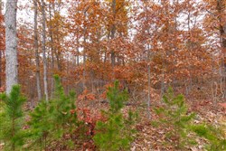 property photo for Hawkcrest Tract 19, 5.87 acres for sale in Reynolds County, Missouri