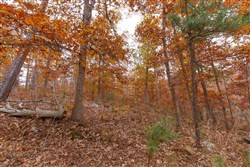 property photo for Hawkcrest Tract 19, 5.87 acres for sale in Reynolds County, Missouri