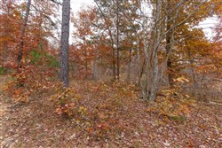 property photo for Hawkcrest Tract 19, 5.87 acres for sale in Reynolds County, Missouri