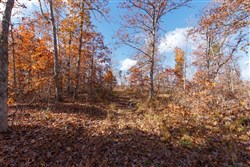 property photo for Hawkcrest Tract 40, 10.65 acres for sale in Reynolds County, Missouri