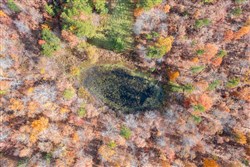 property photo for Hawkcrest Tract 40, 10.65 acres for sale in Reynolds County, Missouri