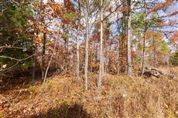 property photo for Hawkcrest Tract 40, 10.65 acres for sale in Reynolds County, Missouri