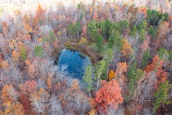 property photo for Hawkcrest Tract 40, 10.65 acres for sale in Reynolds County, Missouri