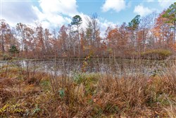 property photo for Hawkcrest Tract 40, 10.65 acres for sale in Reynolds County, Missouri