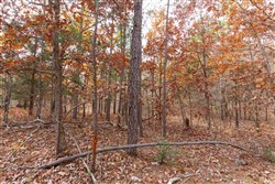 property photo for Hawkcrest Tract 45, 8.09 acres for sale in Reynolds County, Missouri