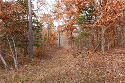 property photo for Hawkcrest Tract 45, 8.09 acres for sale in Reynolds County, Missouri