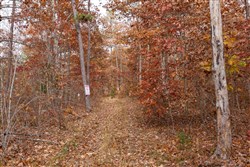 property photo for Hawkcrest Tract 46, 6.87 acres for sale in Reynolds County, Missouri