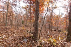 property photo for Hawkcrest Tract 46, 6.87 acres for sale in Reynolds County, Missouri
