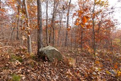 property photo for Hawkcrest Tract 46, 6.87 acres for sale in Reynolds County, Missouri