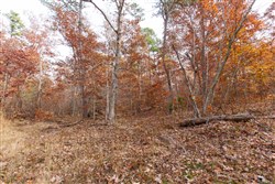 property photo for Hawkcrest Tract 46, 6.87 acres for sale in Reynolds County, Missouri