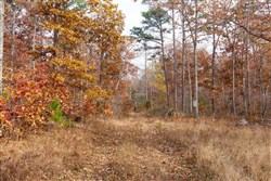 property photo for Hawkcrest Tract 48, 13.03 acres for sale in Reynolds County, Missouri