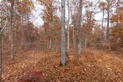 property photo for Hawkcrest Tract 48, 13.03 acres for sale in Reynolds County, Missouri