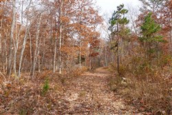 property photo for Hawkcrest Tract 48, 13.03 acres for sale in Reynolds County, Missouri