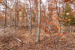 property photo for Hawkcrest Tract 48, 13.03 acres for sale in Reynolds County, Missouri