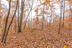 property photo for Hawkcrest Tract 5, 7.67 acres for sale in Reynolds County, Missouri
