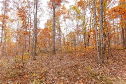 property photo for Hawkcrest Tract 5, 7.67 acres for sale in Reynolds County, Missouri