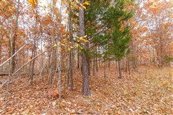 property photo for Hawkcrest Tract 5, 7.67 acres for sale in Reynolds County, Missouri