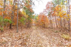 property photo for Hawkcrest Tract 6, 5.86 acres for sale in Reynolds County, Missouri