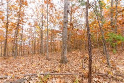 property photo for Hawkcrest Tract 6, 5.86 acres for sale in Reynolds County, Missouri