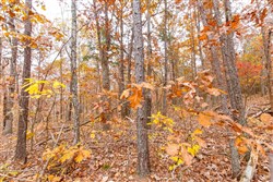 property photo for Hawkcrest Tract 6, 5.86 acres for sale in Reynolds County, Missouri