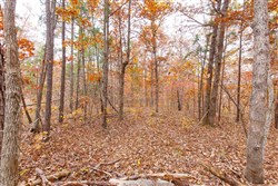 property photo for Hawkcrest Tract 6, 5.86 acres for sale in Reynolds County, Missouri