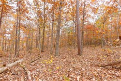 property photo for Hawkcrest Tract 6, 5.86 acres for sale in Reynolds County, Missouri
