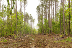 property photo for Stardust Estates Tract 1, 7.29 acres for sale in Reynolds County, Missouri
