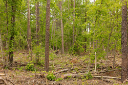 property photo for Stardust Estates Tract 1, 7.29 acres for sale in Reynolds County, Missouri