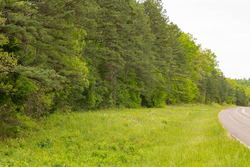property photo for Stardust Estates Tract 1, 7.29 acres for sale in Reynolds County, Missouri