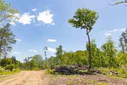 property photo for Stardust Estates Tract 1, 7.29 acres for sale in Reynolds County, Missouri