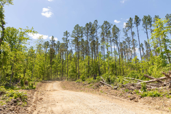 property photo for Stardust Estates Tract 1, 7.29 acres for sale in Reynolds County, Missouri