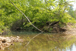 property photo for Stardust Estates Tract 1, 7.29 acres for sale in Reynolds County, Missouri