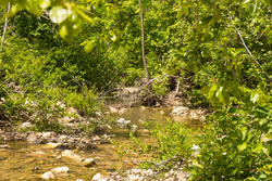 property photo for Stardust Estates Tract 1, 7.29 acres for sale in Reynolds County, Missouri