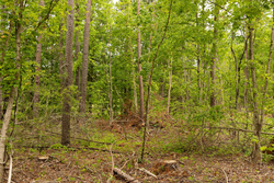 property photo for Stardust Estates Tract 1, 7.29 acres for sale in Reynolds County, Missouri